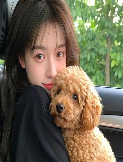 战争片艺术分析：《没人抛弃我的女儿》的市场表现与观众反响 ——深入探索战争片的艺术世界